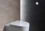 Кнопка смыва для унитаза Geberit  116.042.11.1