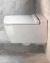 Крышка-сиденье Geberit (Keramag) 500.537.01.1 с микролифтом
