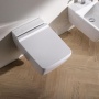 Крышка-сиденье Geberit (Keramag) 500.537.01.1 с микролифтом