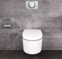 Клавиша Geberit Delta 10, старт/стоп, нержавеющая сталь, 115.108.00.1